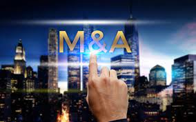 M&A market: The rise of domestic investors